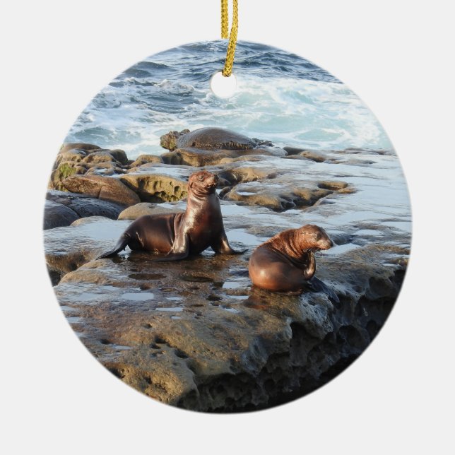California sea lions, wildlife, ceramic ornament (Front)