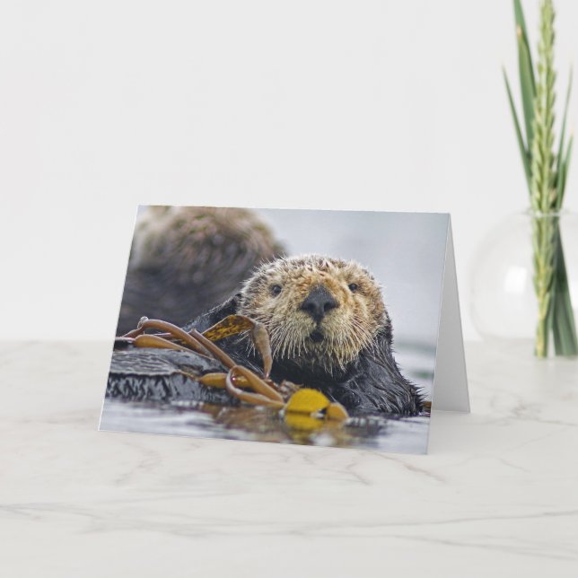 California Sea Otter Card (Front)