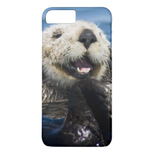 California Sea Otter Enhydra lutris) grooms Case-Mate iPhone Case