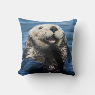 California Sea Otter Enhydra lutris) grooms Cushion