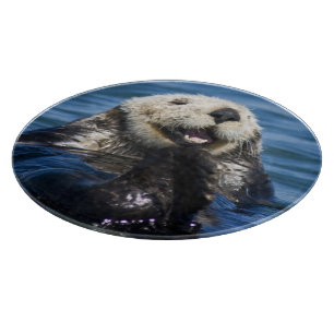 California Sea Otter Enhydra lutris) grooms Cutting Board