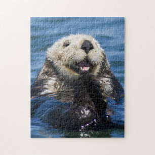 California Sea Otter Enhydra lutris) grooms Jigsaw Puzzle