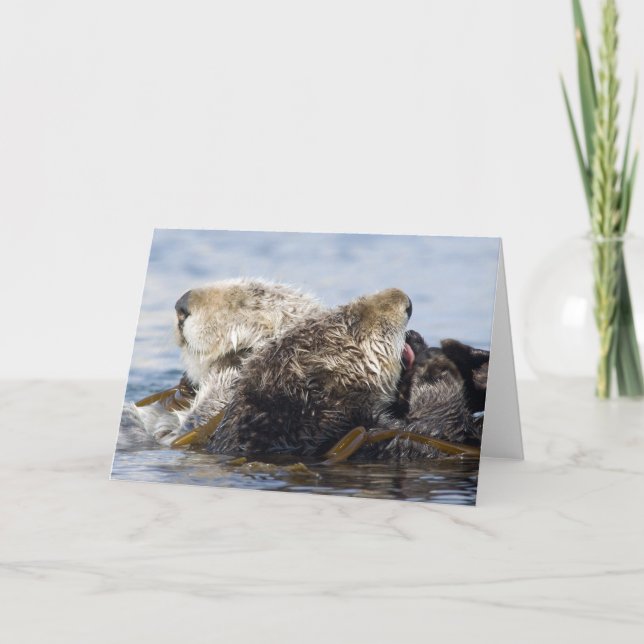 California Sea Otters Card (Front)