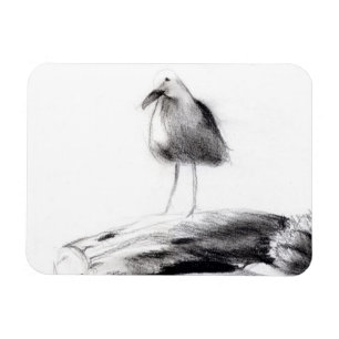 California Seagull 2012 Magnet