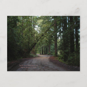 California Seasons - Redwoods Road - Postcard