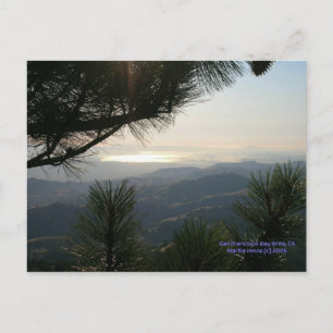 California Seasons - SF Bay Area - Postcard