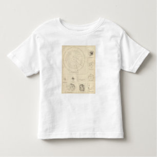 California Seismograms 3 Toddler T-Shirt