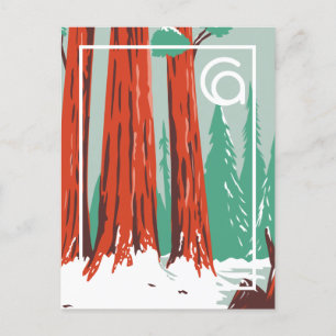 California Sequoia National Park Winter Postcard