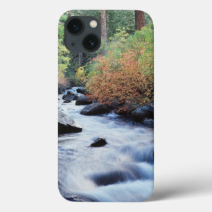 California, Sierra Nevada Mountains 11 iPhone 13 Case