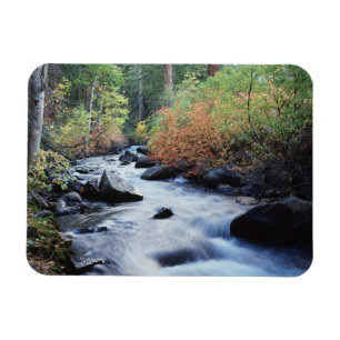 California, Sierra Nevada Mountains 11 Magnet