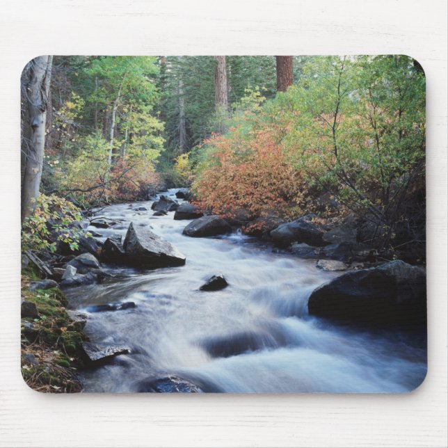 California, Sierra Nevada Mountains 11 Mouse Pad (Front)