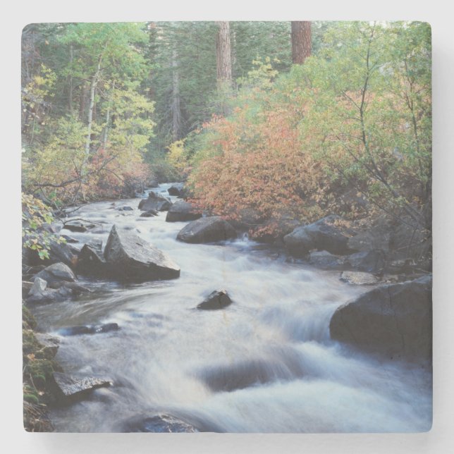California, Sierra Nevada Mountains 11 Stone Coaster (Front)
