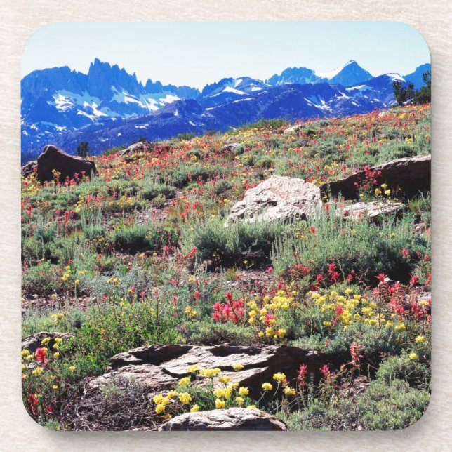 California, Sierra Nevada Mountains 1 Coaster (Front)