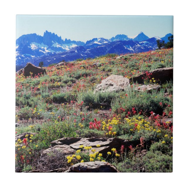 California, Sierra Nevada Mountains 1 Tile (Front)