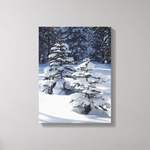 California, Sierra Nevada Mountains 8 Canvas Print