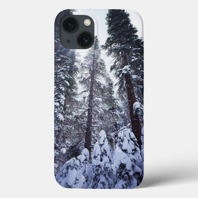 California, Sierra Nevada Mountains 9 Case-Mate iPhone Case (Back)