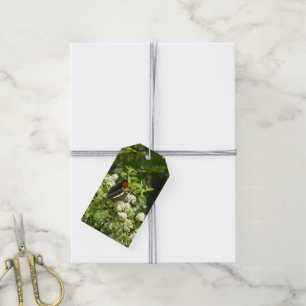 California Sister Butterfly in Yosemite Gift Tags