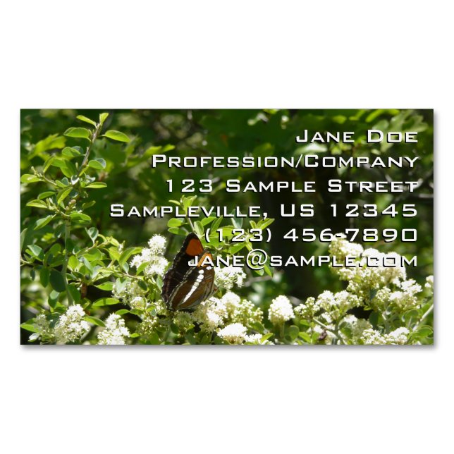 California Sister Butterfly in Yosemite Magnetic Business Card (Front)