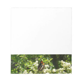 California Sister Butterfly in Yosemite Notepad