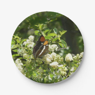 California Sister Butterfly in Yosemite Paper Plate