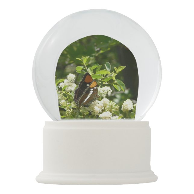 California Sister Butterfly in Yosemite Snow Globe (Front)