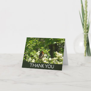 California Sister Butterfly in Yosemite Thank You Card
