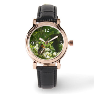 California Sister Butterfly in Yosemite Watch