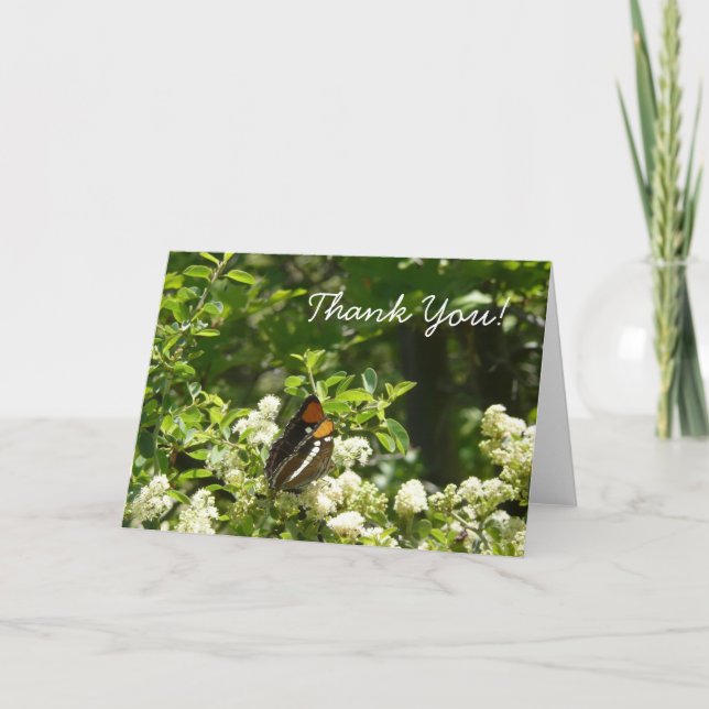 California Sister Butterfly Thank You Card (Front)