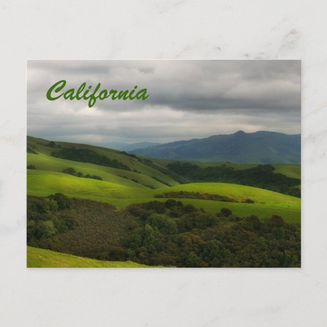 California Spring Panorama Postcard (Front)