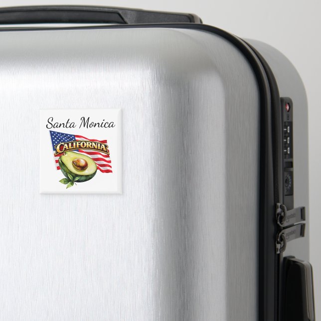 California Square Magnet (In Situ (Luggage))