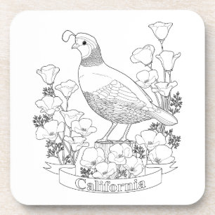 California State Bird and Flower Colouring Page Coaster