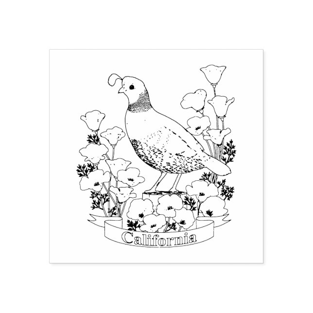 California State Bird and Flower Colouring Page Rubber Stamp (Imprint)