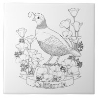 California State Bird and Flower Colouring Page