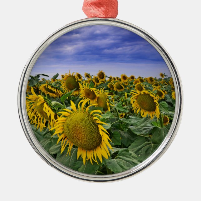 California Sunflower Fields Metal Tree Decoration (Front)