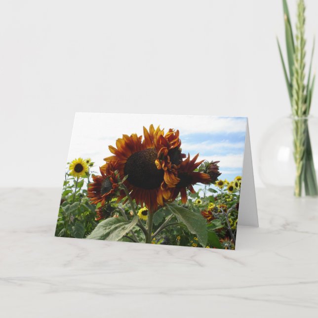California Sunflowers Card (Front)