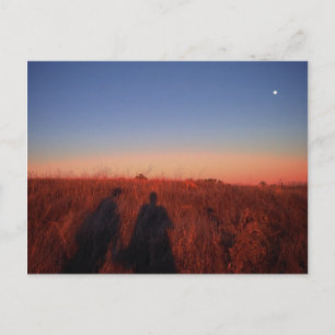 California Sunset Postcard