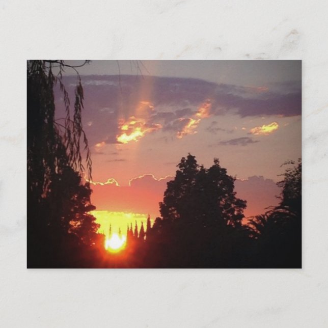 California Sunset Postcard (Front)