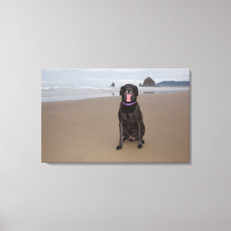 California, USA Canvas Print