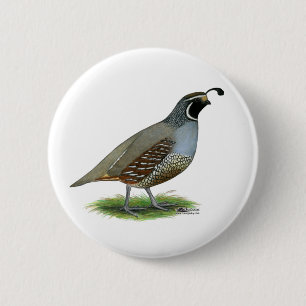 California Valley Quail 6 Cm Round Badge