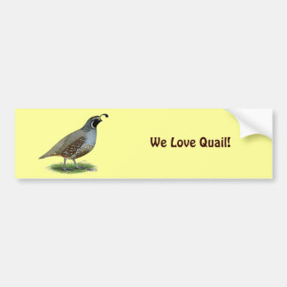 California Valley Quail Bumper Sticker