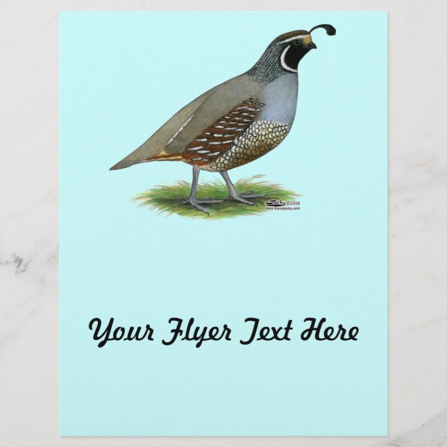 California Valley Quail Flyer (Front)