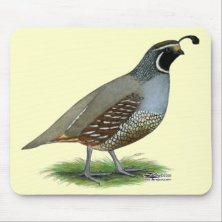 California Valley Quail Mouse Pad