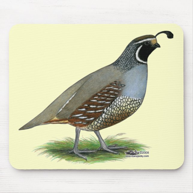 California Valley Quail Mouse Pad (Front)