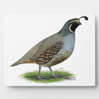 California Valley Quail Plaque