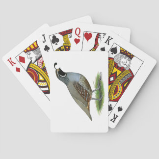 California Valley Quail Playing Cards