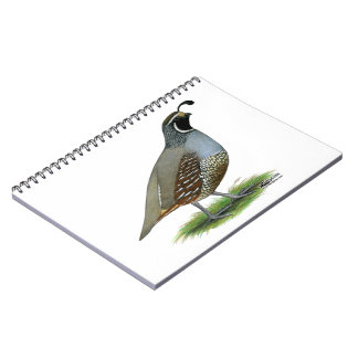 California Valley Quail Spiral Notebook