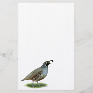 California Valley Quail Stationery