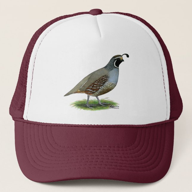 California Valley Quail Trucker Hat (Front)