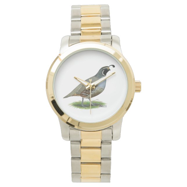 California Valley Quail Watch (Front)