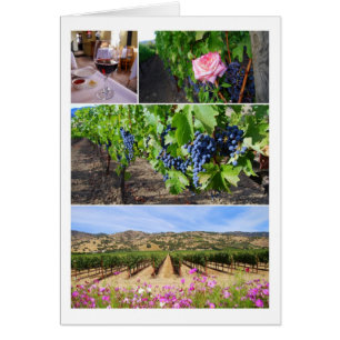 California Vineyard Collage